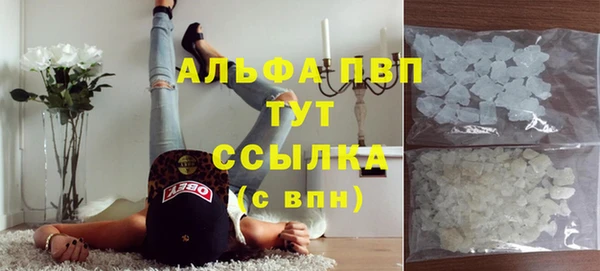 спиды Касимов