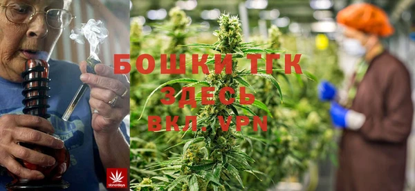 кокс Михайлов
