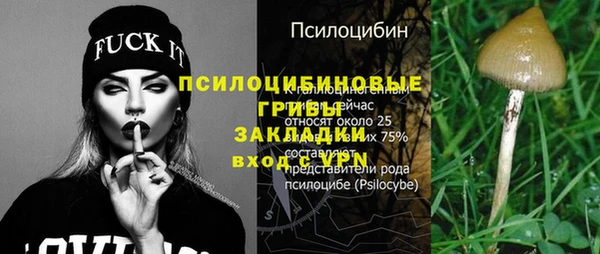 спиды Касимов