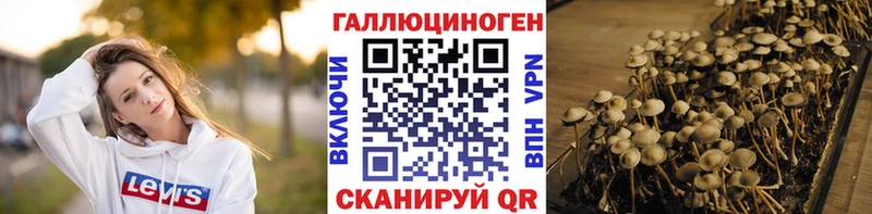 Галлюциногенные грибы Psilocybe  Купить закладки  Бабушкин 